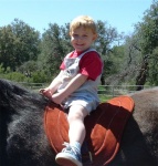 Mounty